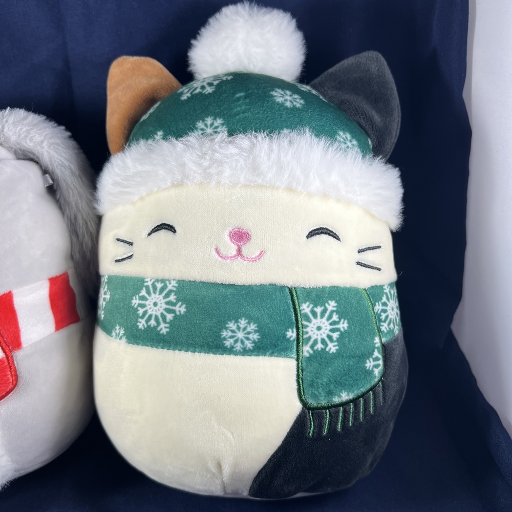 2022 Christmas Squishmallows Soft Plush Toys  Ivy the Dog and Cam the Cat Winter - Picture 3 of 11